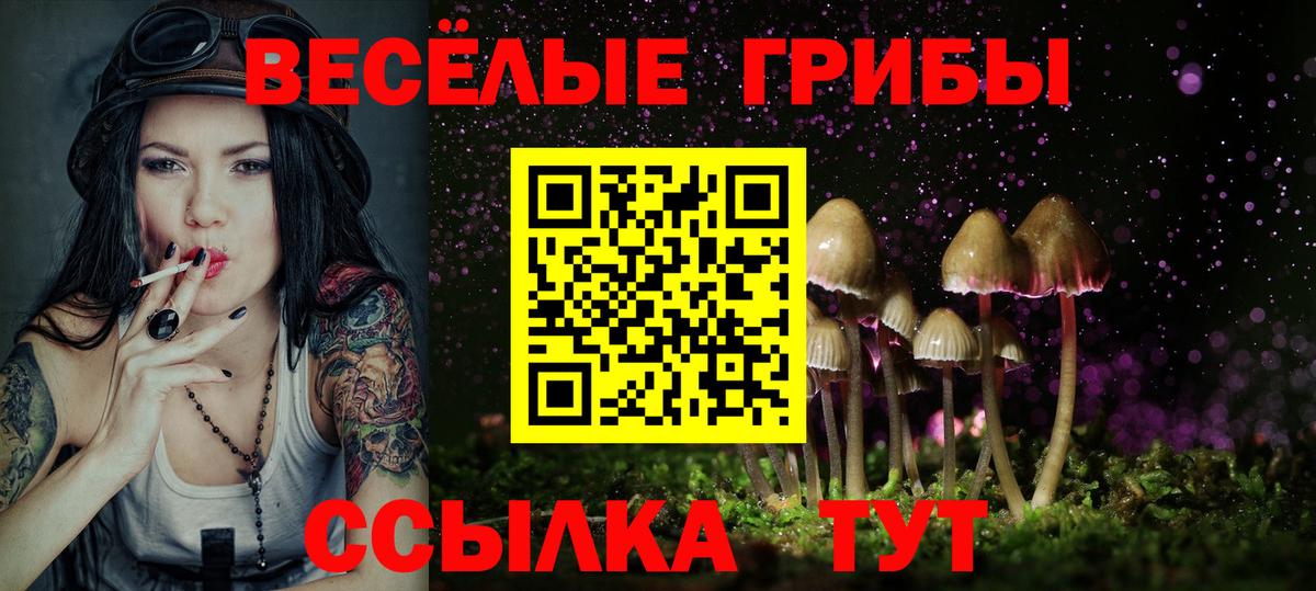 Галлюциногенные грибы GOLDEN TEACHER  Вход с VPN  Грозный 